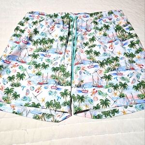 Big and Tall Swim Shorts